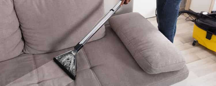 Best Upholstery Cleaning Holt